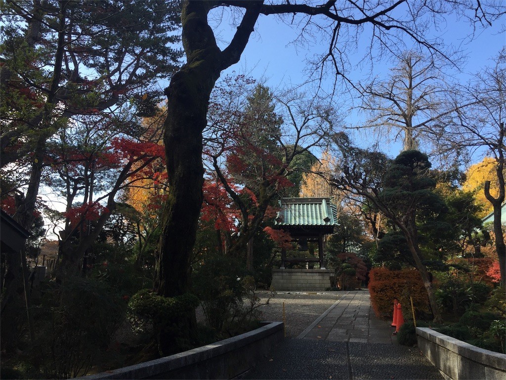 f:id:A-win:20171203220411j:image