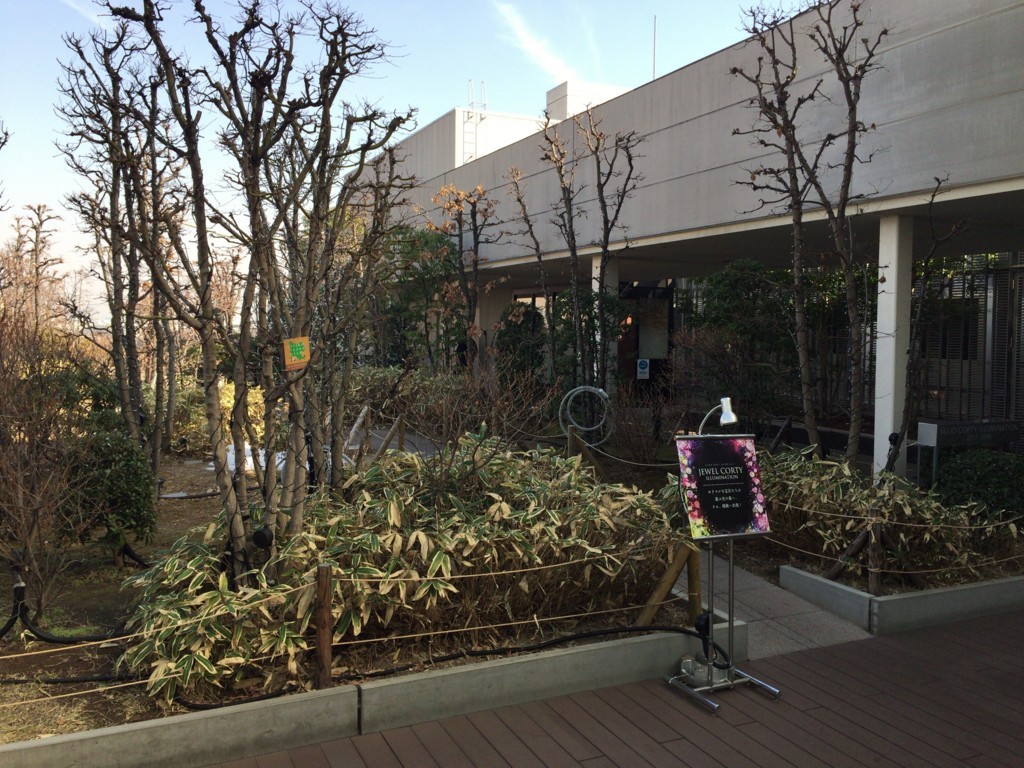 f:id:A-win:20180210160424j:plain