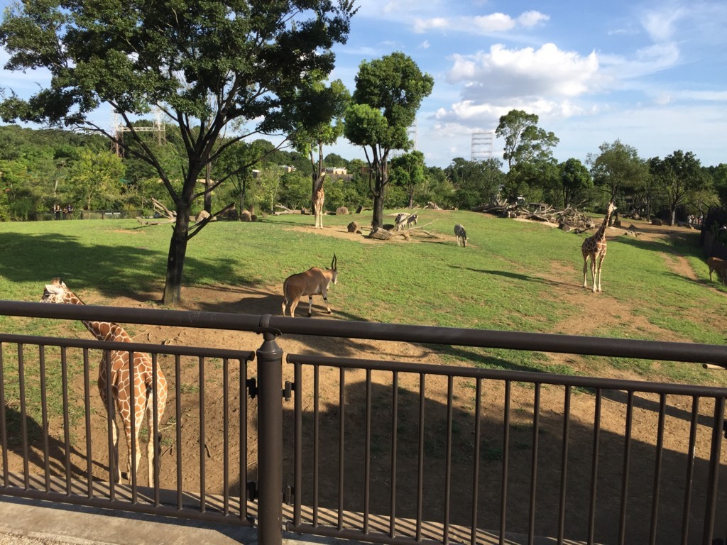 f:id:A-win:20180819101807j:plain