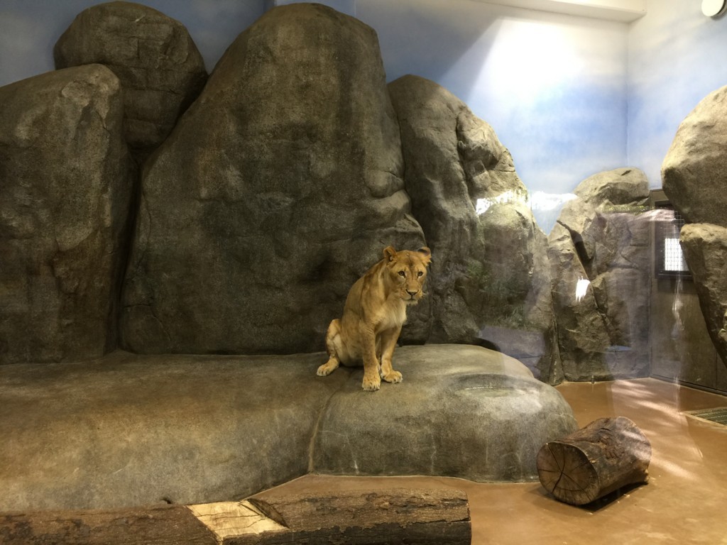 f:id:A-win:20180819101830j:plain