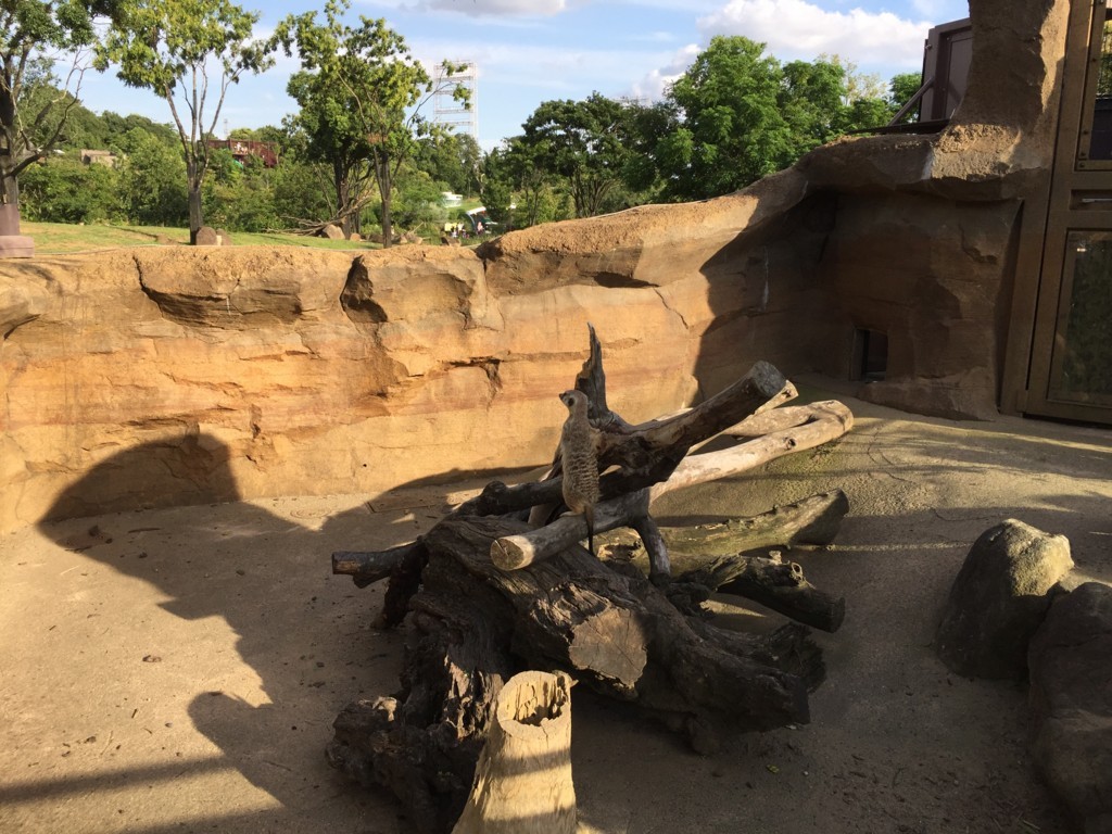 f:id:A-win:20180819101905j:plain