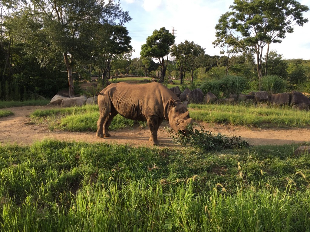 f:id:A-win:20180819102005j:plain