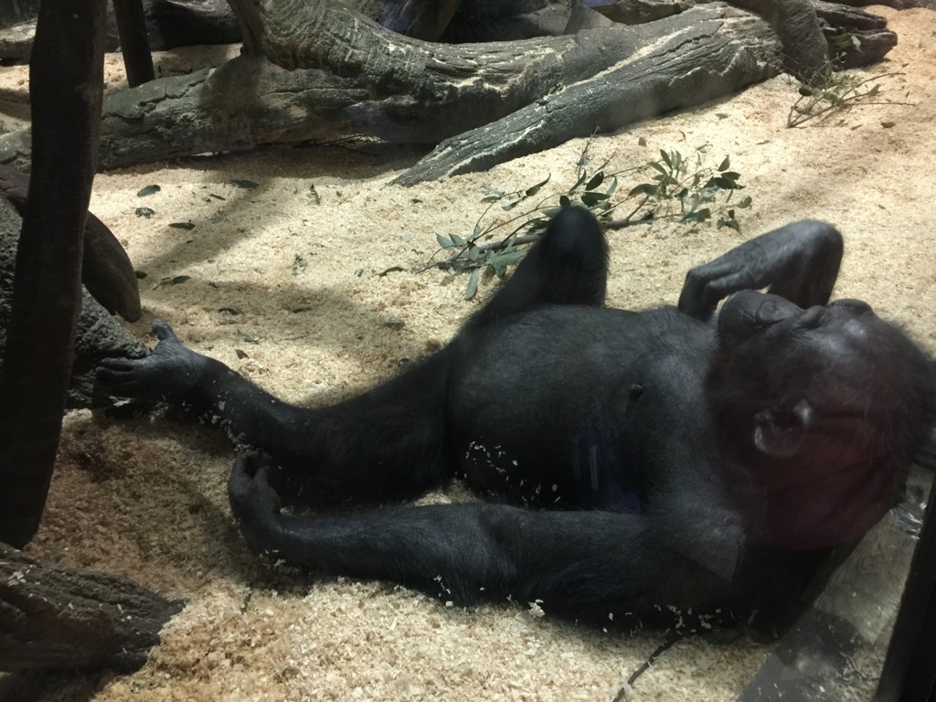 f:id:A-win:20180819102055j:plain