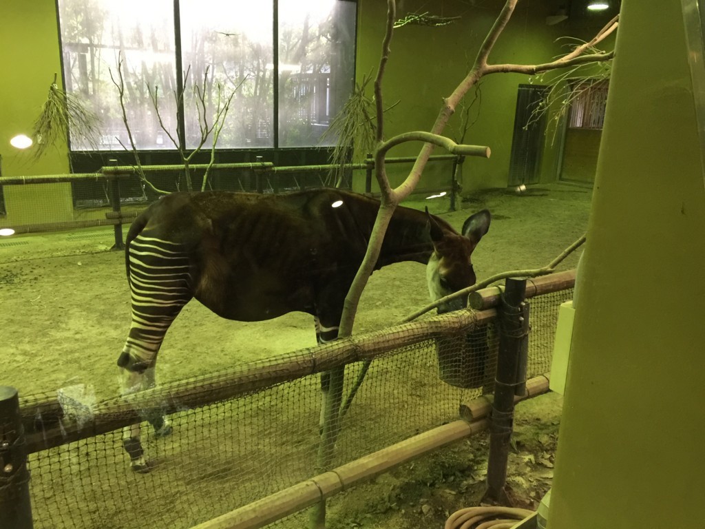 f:id:A-win:20180819102119j:plain