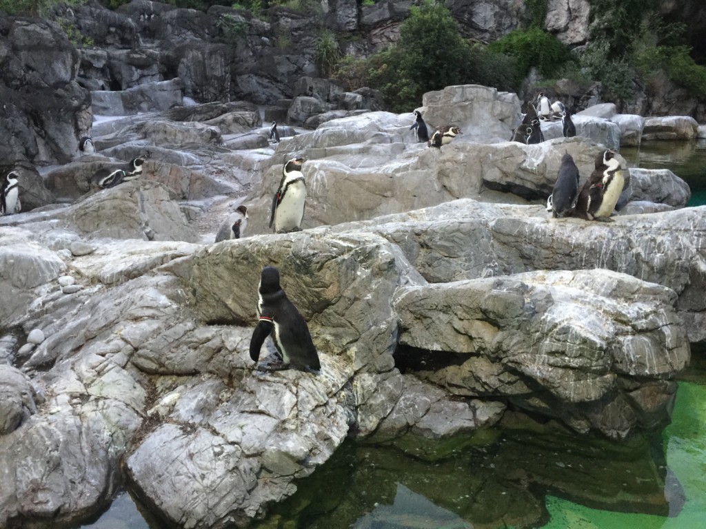 f:id:A-win:20180819102148j:plain