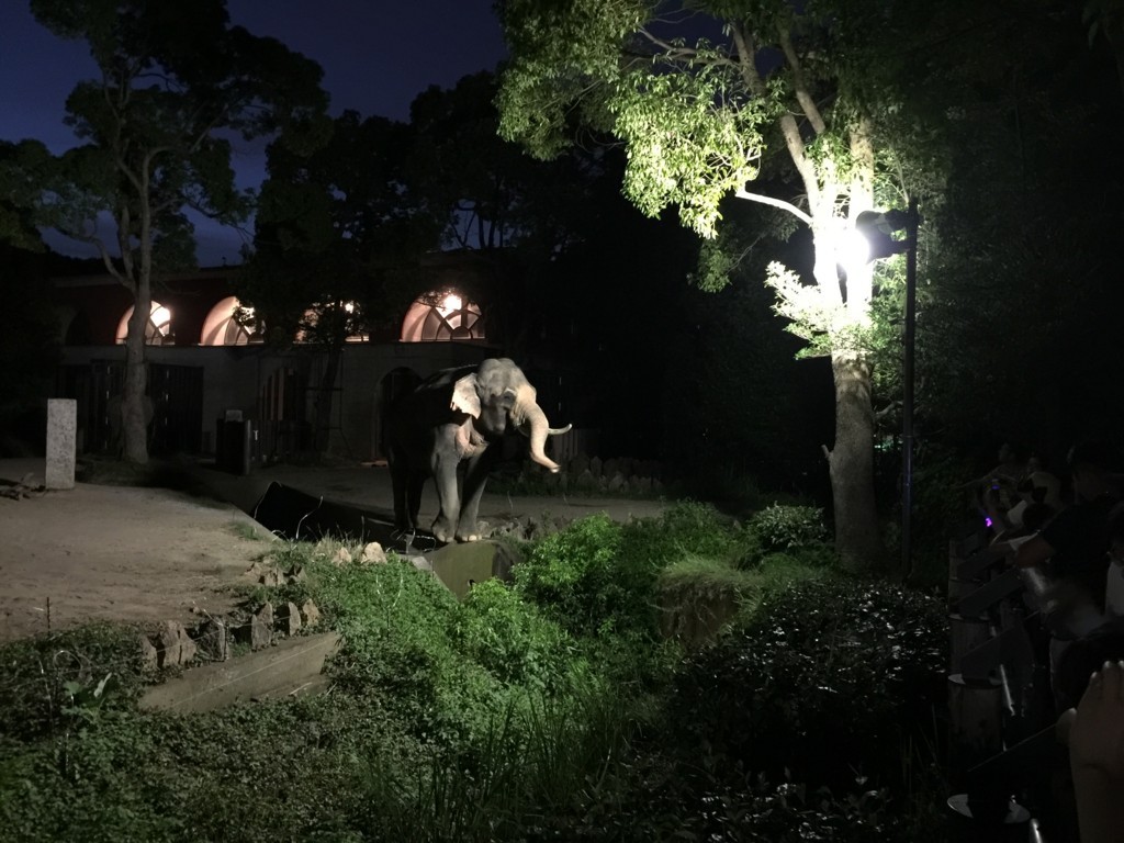 f:id:A-win:20180819102443j:plain