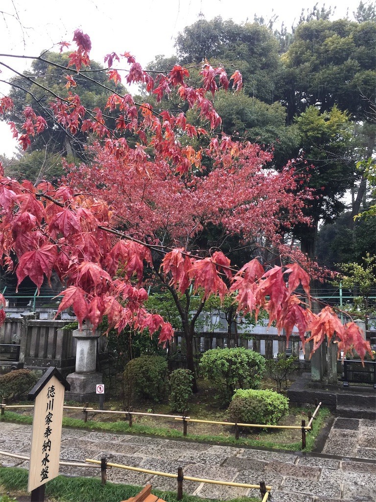 f:id:A-win:20190228175658j:image