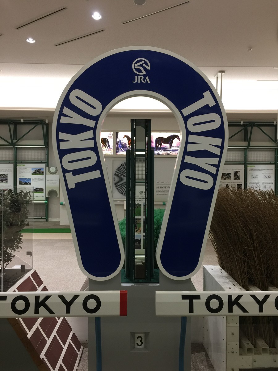 f:id:A-win:20190722094937j:plain
