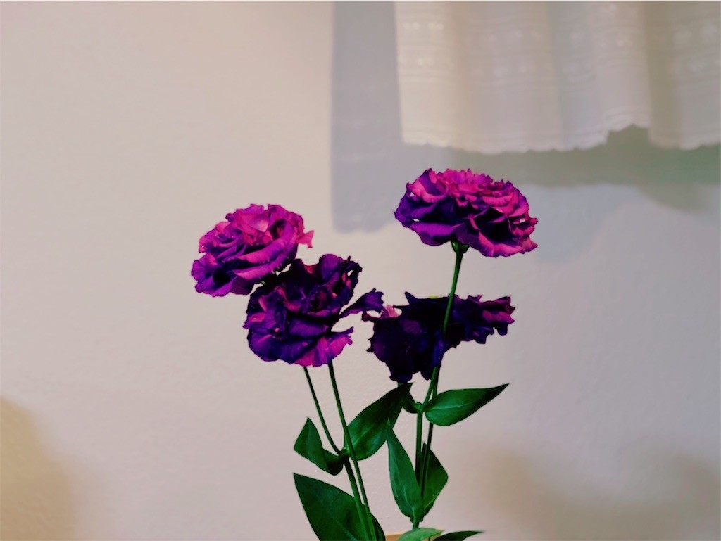 f:id:A-win:20210209170404j:image