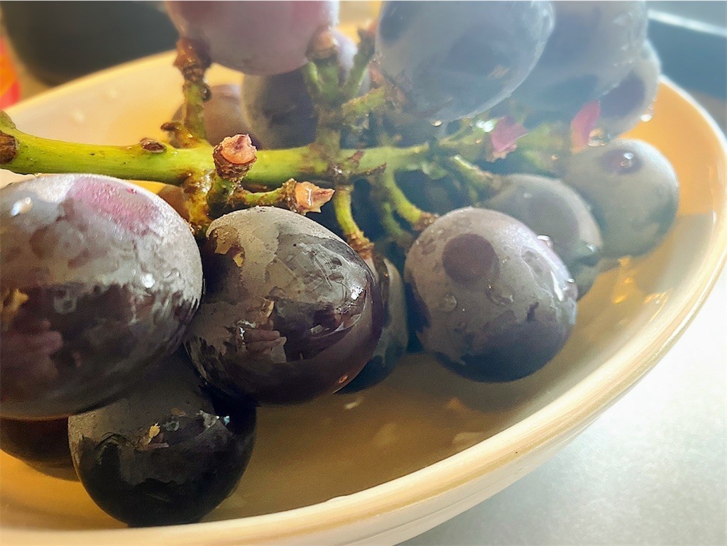 f:id:A-win:20210804091437j:image