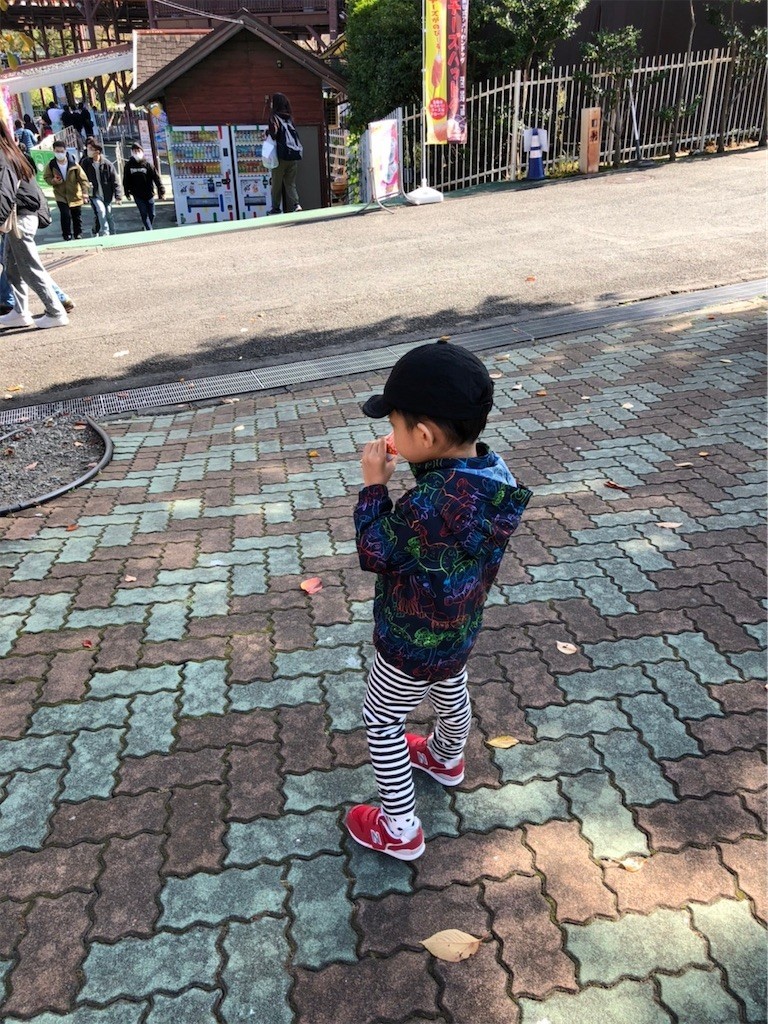 f:id:A-win:20221102152347j:image