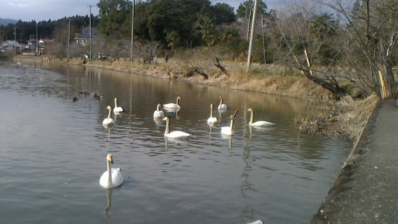 f:id:A0153:20140108130100j:image:w360:left
