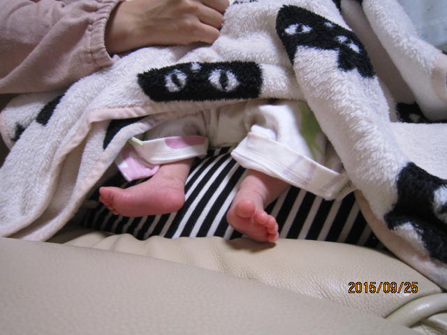 f:id:A0153:20150925194624j:image:w360 f:id:A0153:20150925194624j:image:w360