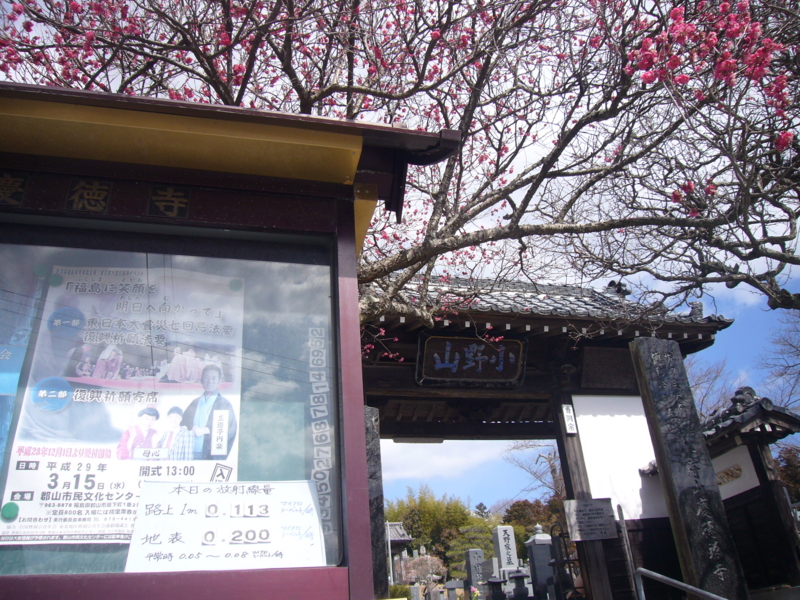 f:id:A0153:20170311112726j:image:w360