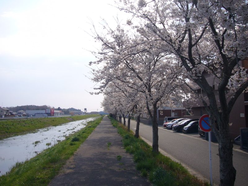 f:id:A0153:20170415080501j:image:w360