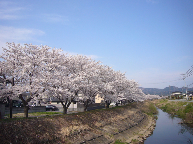 f:id:A0153:20170415082535j:image