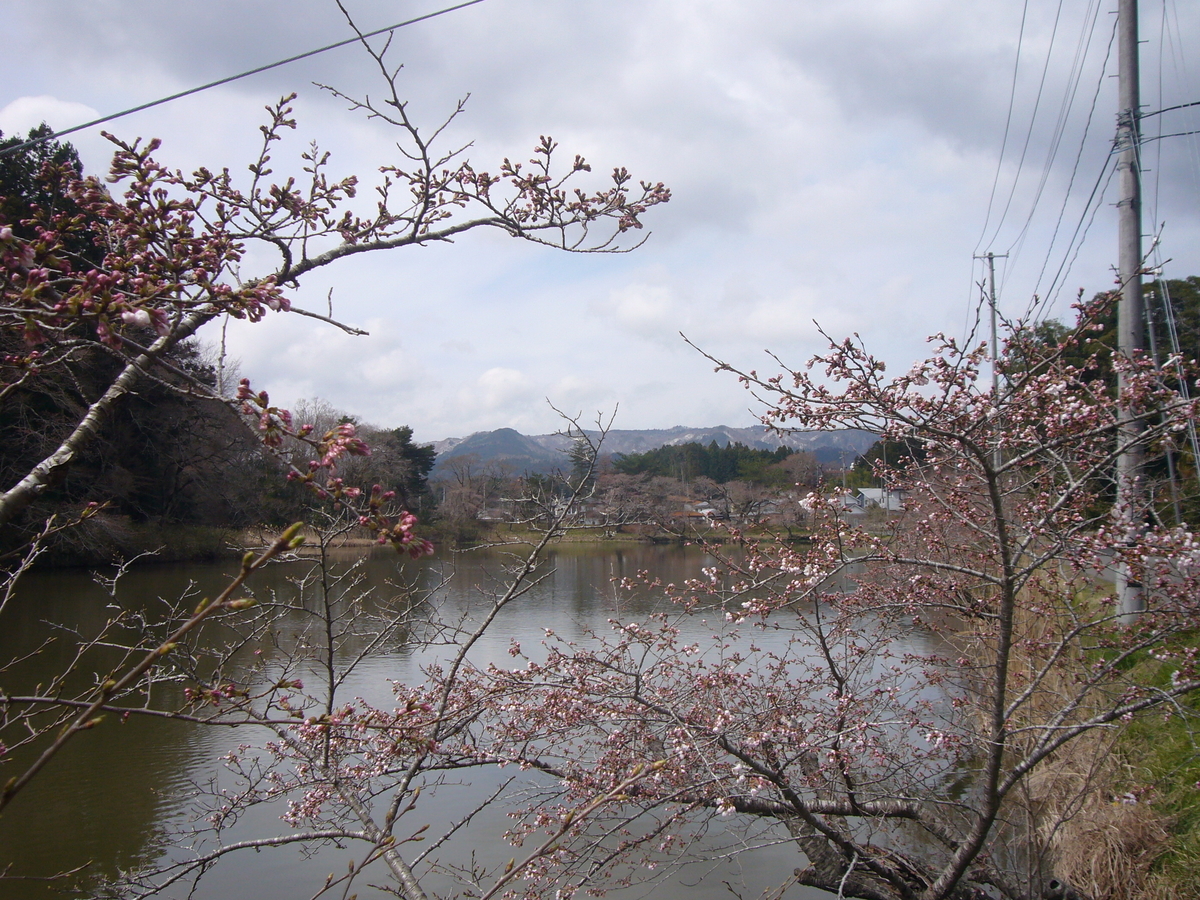 f:id:A0153:20200330102156j:plain