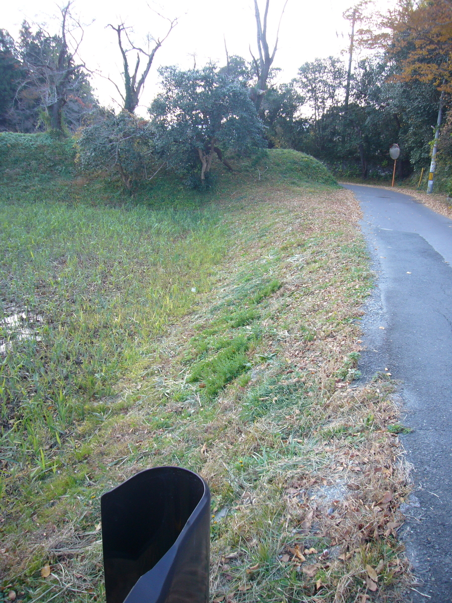 f:id:A0153:20201116132755j:plain
