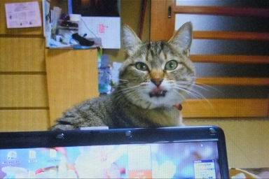 イメージ 1