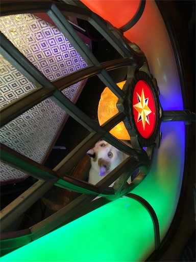 f:id:A2laboratory:20200813122439j:image