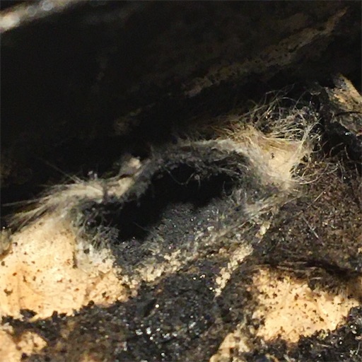 f:id:A2laboratory:20221217004400j:image