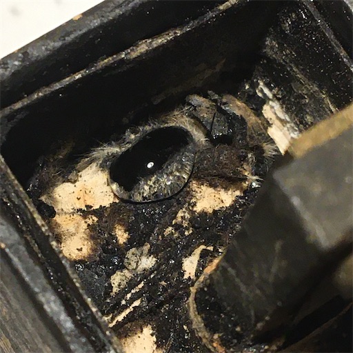 f:id:A2laboratory:20221217005846j:image