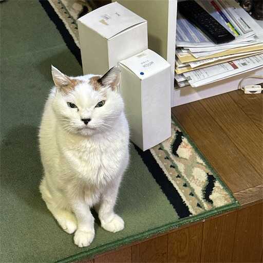 f:id:A2laboratory:20251229181452j:image