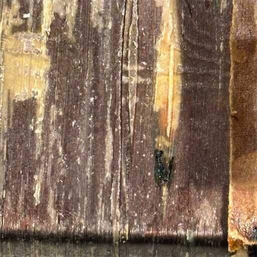 f:id:A2laboratory:20260630232711j:image