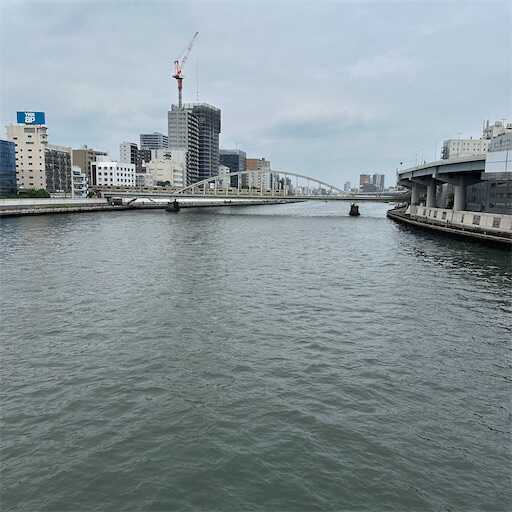 f:id:A2laboratory:20260704233701j:image