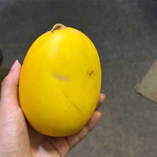 f:id:A2laboratory:20260710000322j:image f:id:A2laboratory:20260710000322j:image