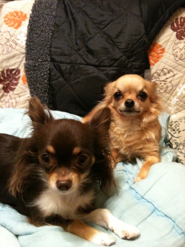 f:id:A30:20100322193359j:image