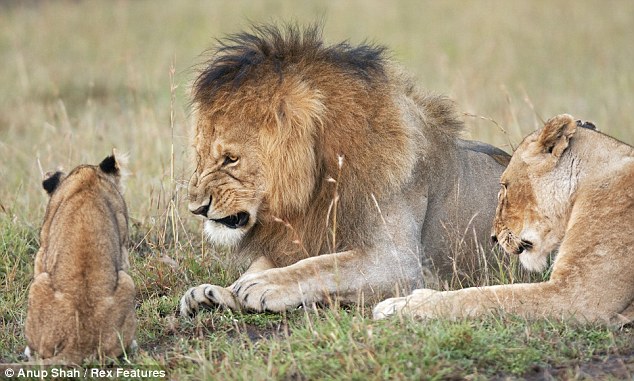 f:id:A30:20110725235608j:image:w360