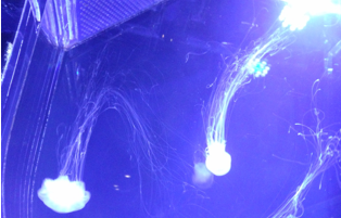 f:id:A30:20150628062814p:image