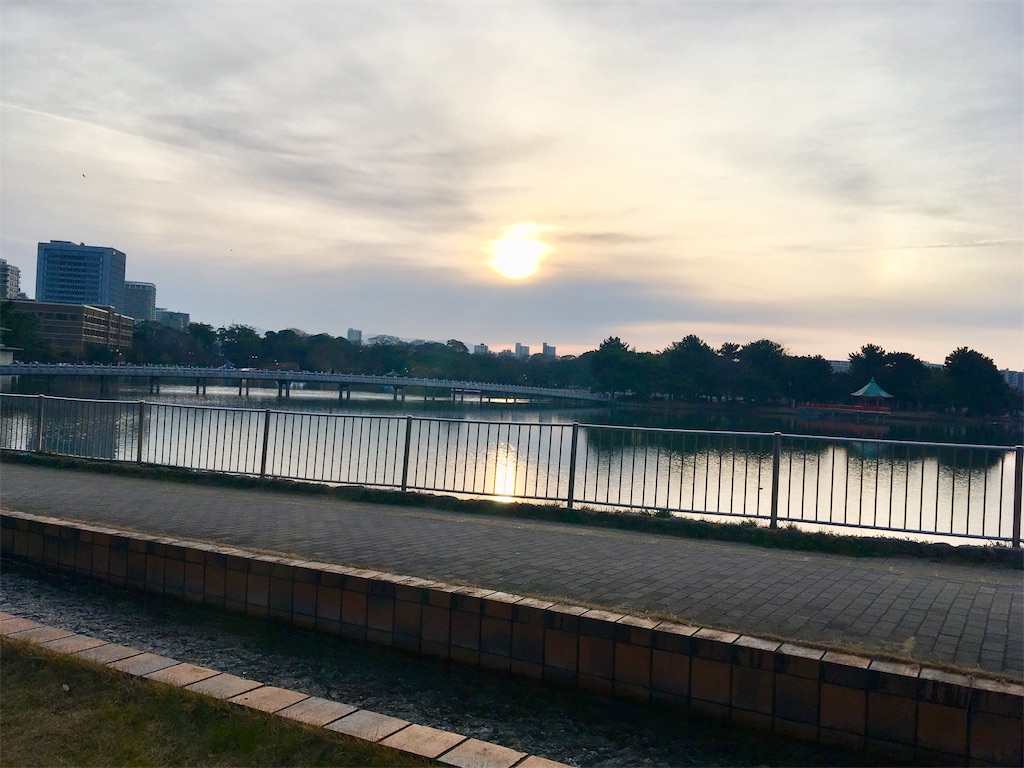 f:id:AAA316jp:20190224205012j:image f:id:AAA316jp:20190224205012j:image