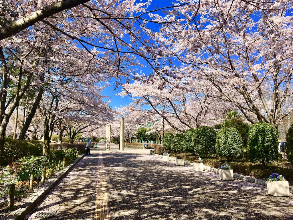 f:id:AAA316jp:20190418164758j:image f:id:AAA316jp:20190418164758j:image