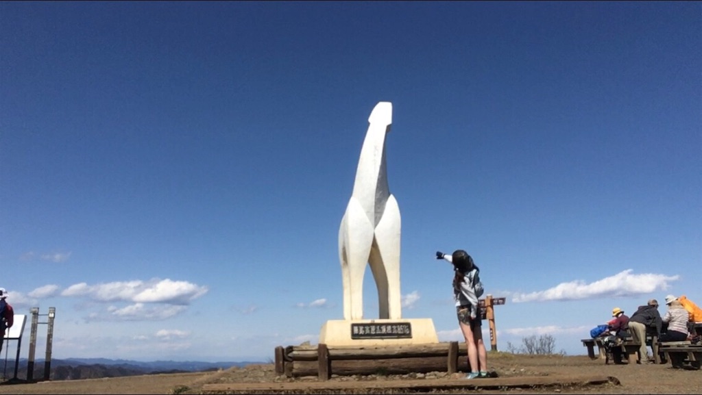 f:id:AAA316jp:20190418165307j:image f:id:AAA316jp:20190418165307j:image