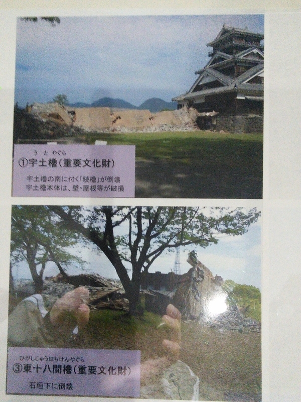 イメージ 6