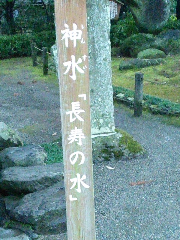 イメージ 6