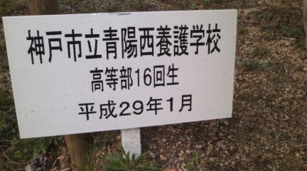 イメージ 4