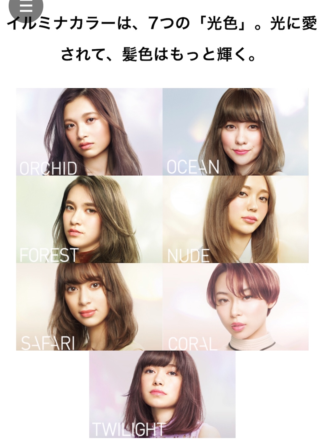 f:id:ABE_home_Organizer:20181102192256j:image