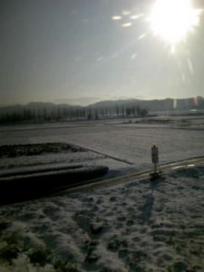 f:id:ABLZ:20080211083936j:image