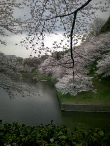 f:id:ABLZ:20080328162202j:image
