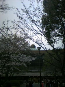 f:id:ABLZ:20080328170749j:image