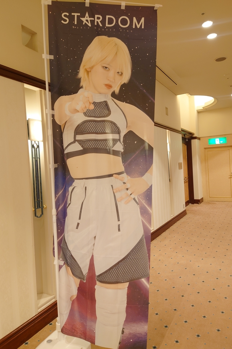 スターダム＆新日本も】ウエハースコレクトボックス買った！の巻