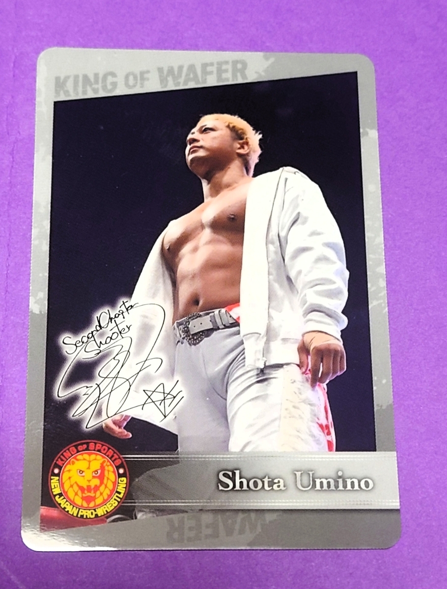 新日本プロレス】ウエハースコレクトボックス開封！の巻 - 新潟と紫と