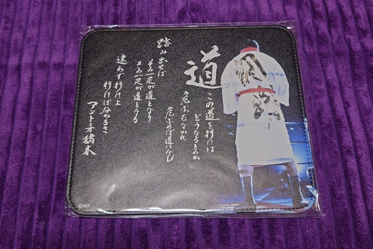 燃える闘魂 アントニオ猪木展 in 新潟】2万円分の買ってきたグッズをご