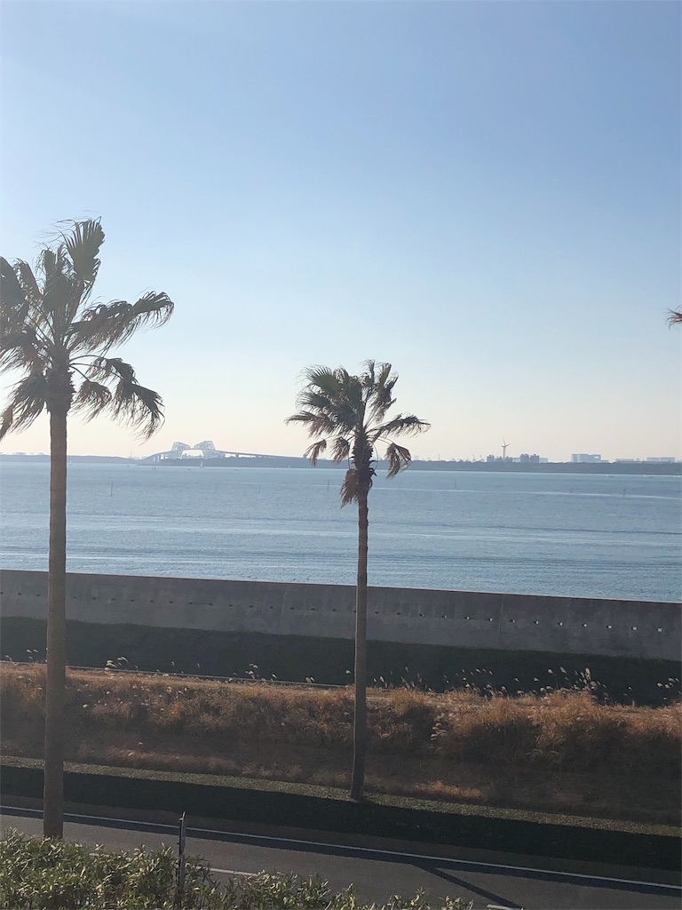 f:id:ABi-R:20190115192415j:image f:id:ABi-R:20190115192415j:image