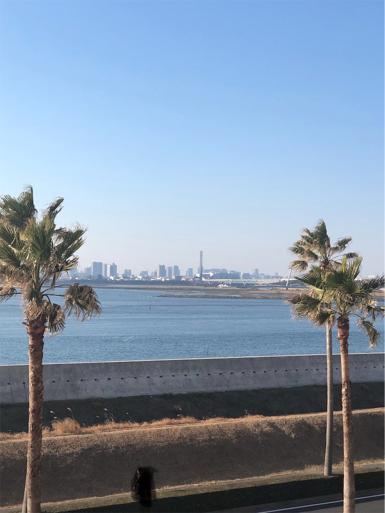 f:id:ABi-R:20190115192455j:image f:id:ABi-R:20190115192455j:image