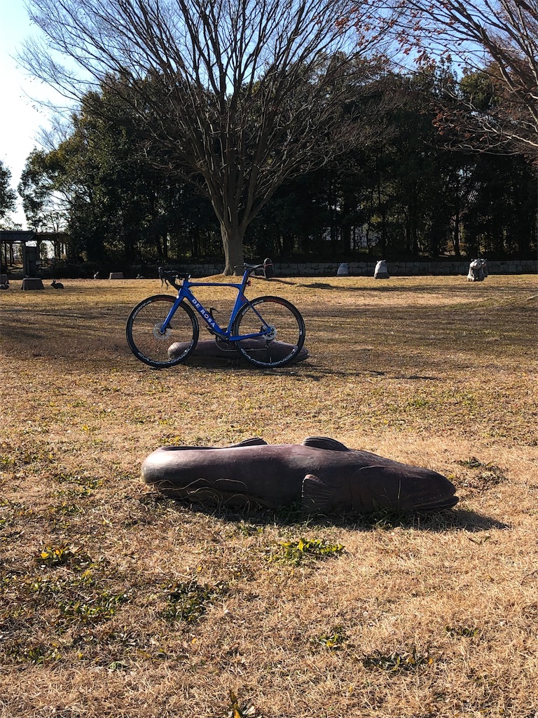 f:id:ABi-R:20190204002727j:image