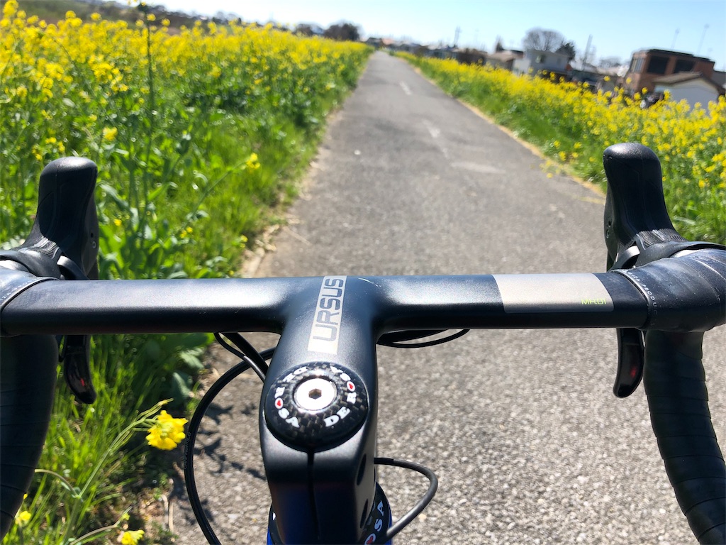 f:id:ABi-R:20190325215732j:plain f:id:ABi-R:20190325215732j:plain